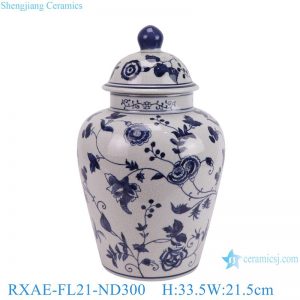 RXAE-FL21-ND300 Chinese Handmade Blue and White Porcelain Ginger Jar Vase Antique Crackle Glaze Decorative Jar